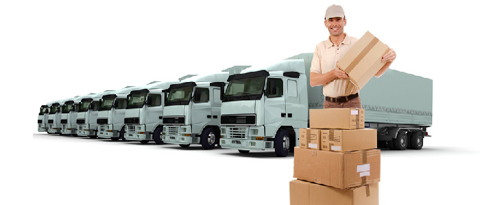 Chính sách vận chuyển giao nhận