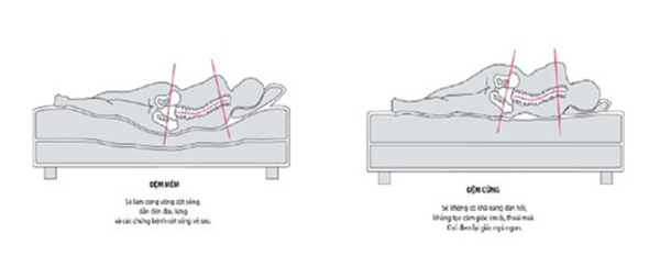 Khuyến mãi cực sốc tới 30% cho nệm bông ép Dragon