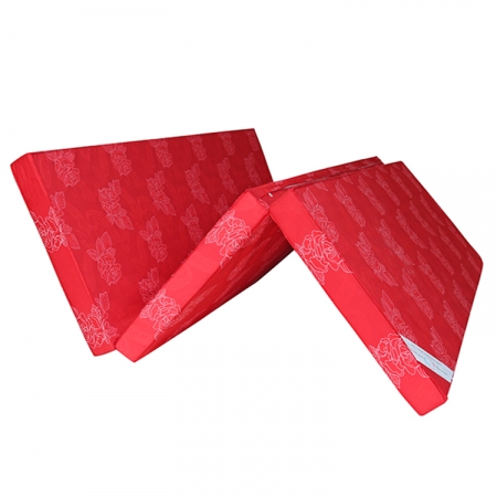Nệm bông ép gấp 3 Dragon