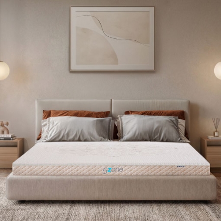 Nệm cao su Liên Á 5ZONE