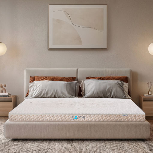 Nệm cao su Liên Á 5ZONE